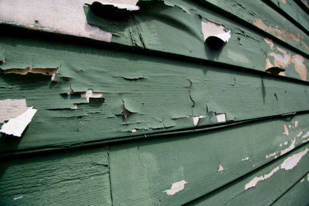 Best Same-Day Junk Removal Services  in Cranston, RI